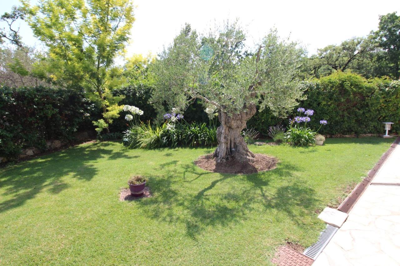 Villa Jalna Chambre, Suites Et Appartement Roquefort-les-Pins Eksteriør bilde